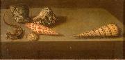 AST, Balthasar van der Lezards et coquillages oil painting artist
